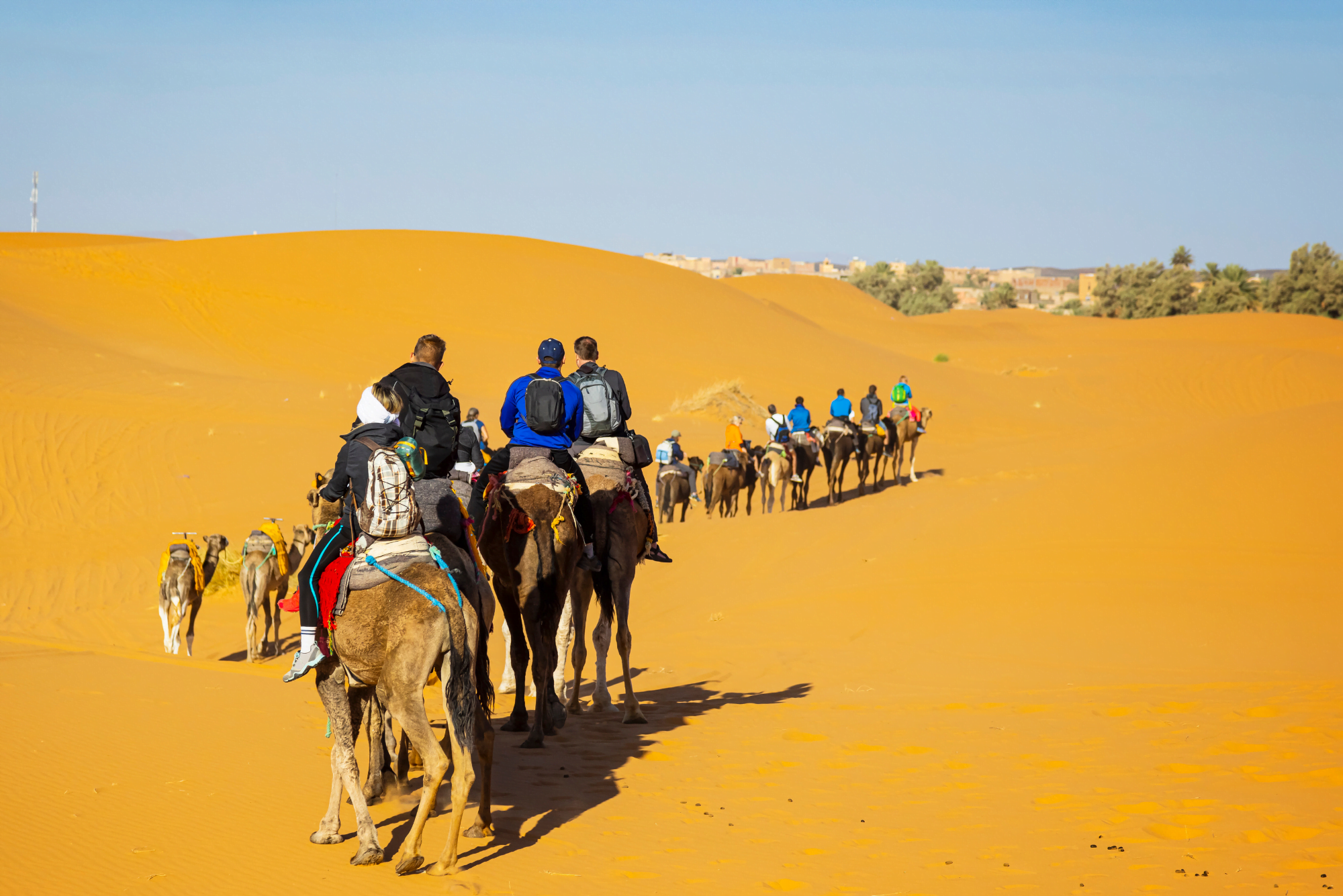 Merzouga camel trekking /1 Day