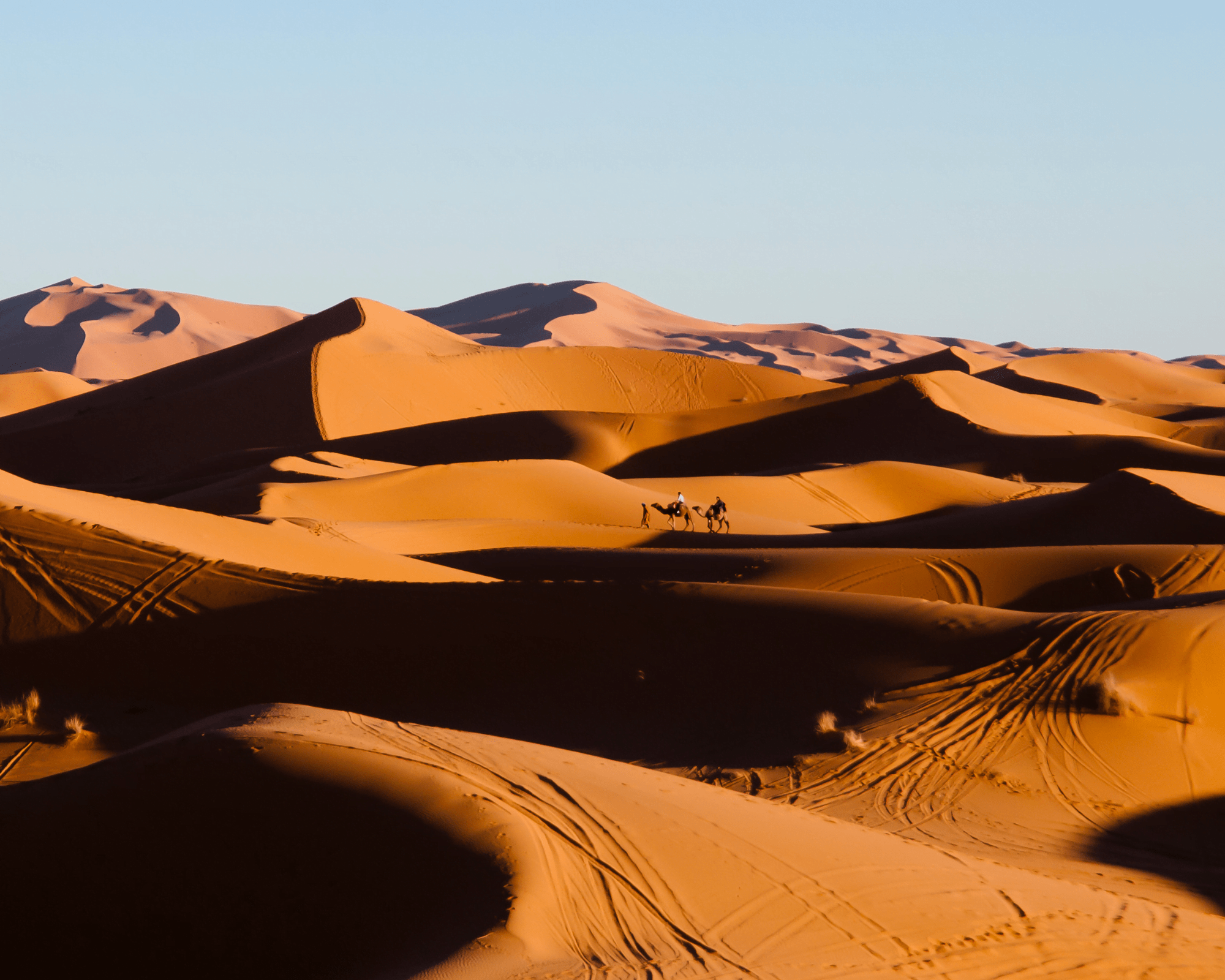 Merzouga Camel Trekking 1 Day