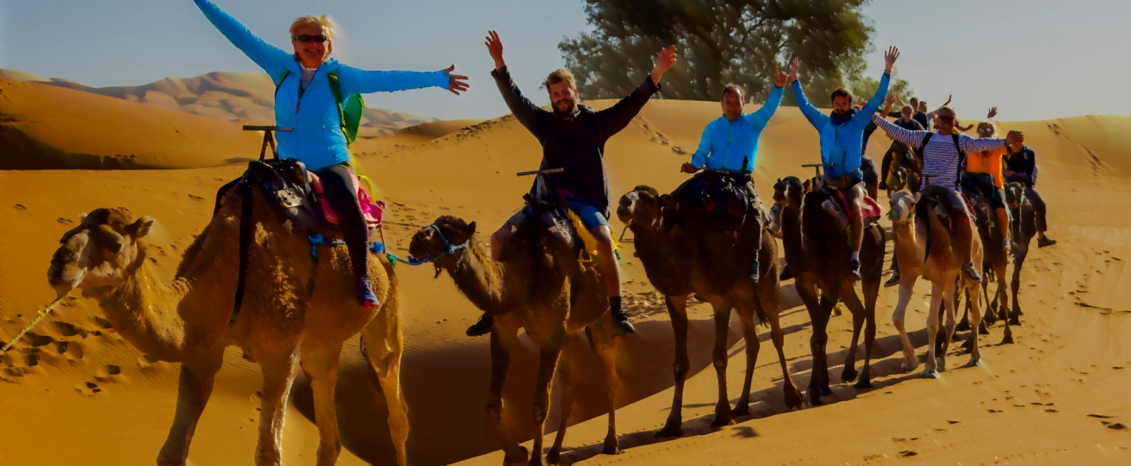 Merzouga Camel Trekking Merzouga Camel Trekking