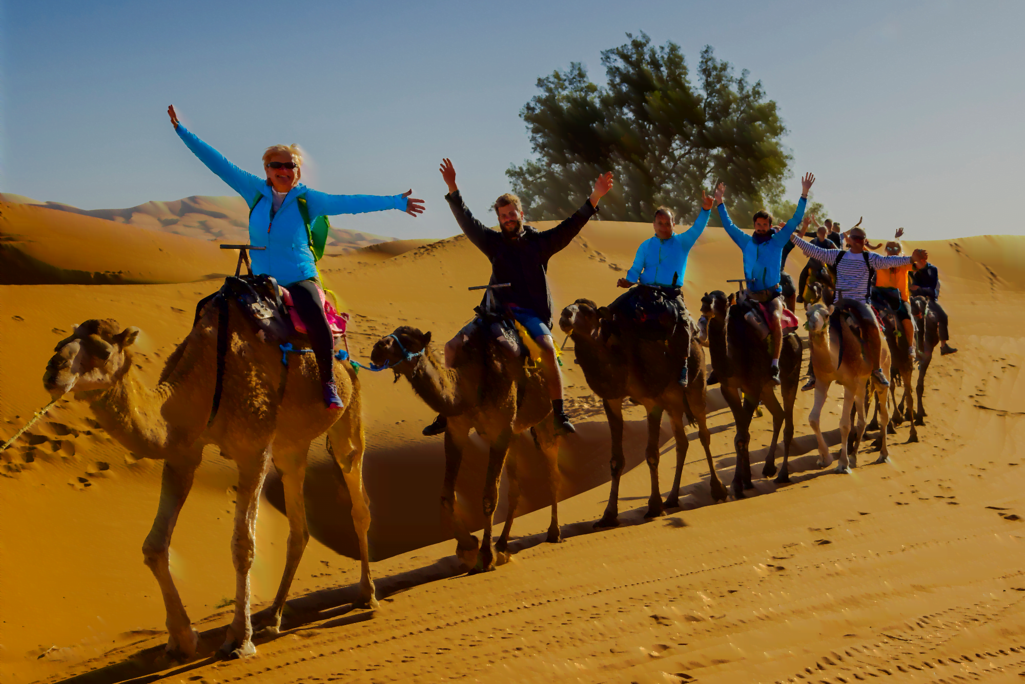 Merzouga Camel Trekking Merzouga Camel Trekking