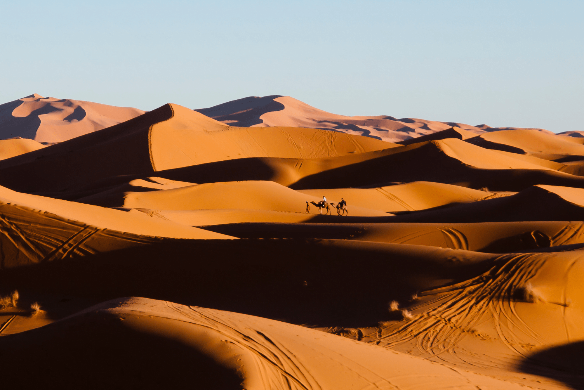 Merzouga Camel Trekking 1 Day Merzouga Camel Trekking 1 Day