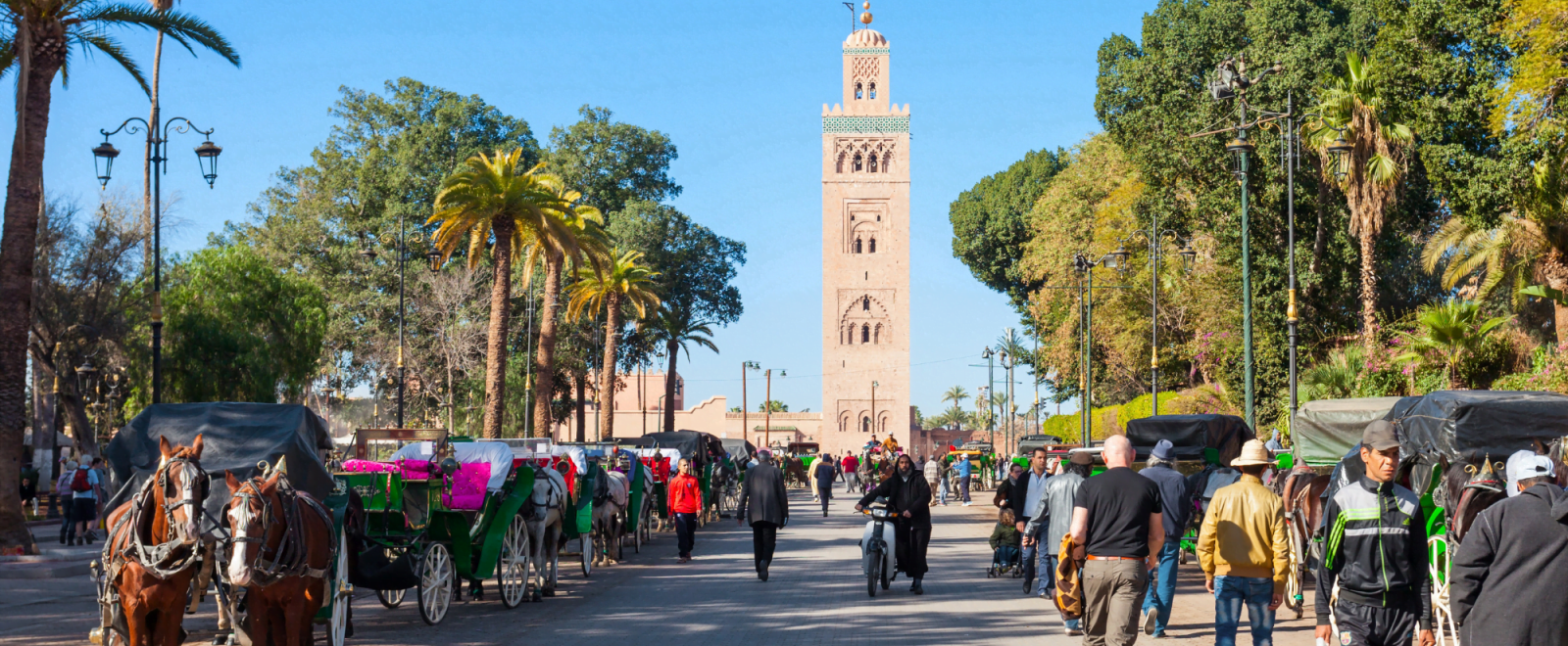 Marrakech to Fes desert tour 2 days/1 Night Marrakech to Fes desert tour 2 days/1 Night